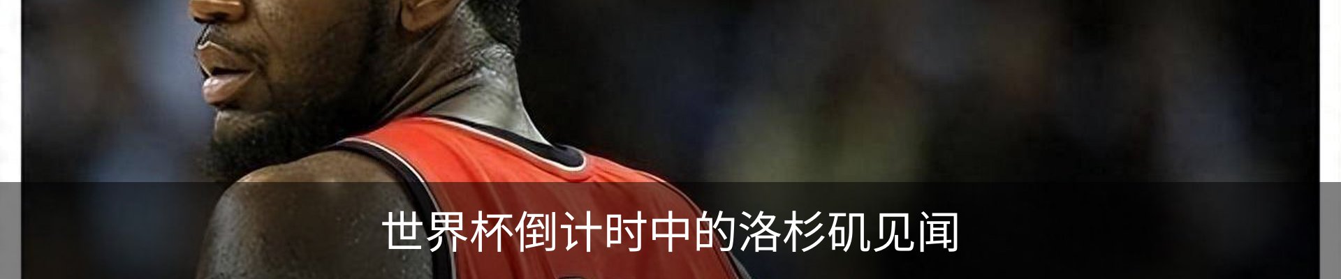 内页banner