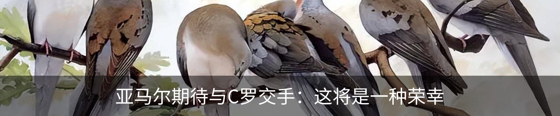 内页banner
